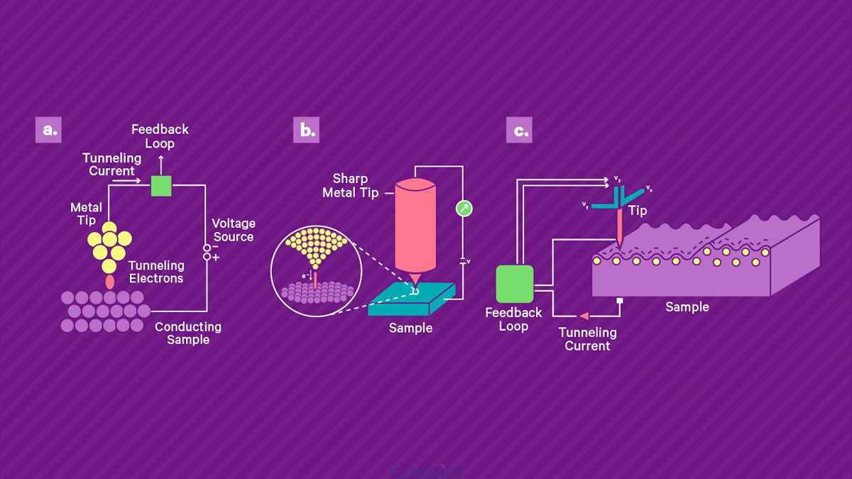掃描隧道顯微鏡的工作原理。 a) 將鋒利的導(dǎo)電尖端靠近導(dǎo)電樣品表面并施加偏置電壓，從而產(chǎn)生穿過間隙的小隧道電流。 該電流由高增益放大器讀出。 b) 壓電掃描系統(tǒng)用于控制尖端與表面的分離并在表面上掃描尖端。 當(dāng)尖端保持在恒定高度時(shí)，電流幅度可用作尖端表面分離的直接測量，從而實(shí)現(xiàn)地形成像。 或者，可以使用反饋回路通過改變定位系統(tǒng)的控制電壓來保持恒定電流，該控制電壓被記錄下來并產(chǎn)生樣品上的形貌和電子密度的測量值。